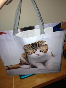 Librarian Swag: The "Cat Bag"